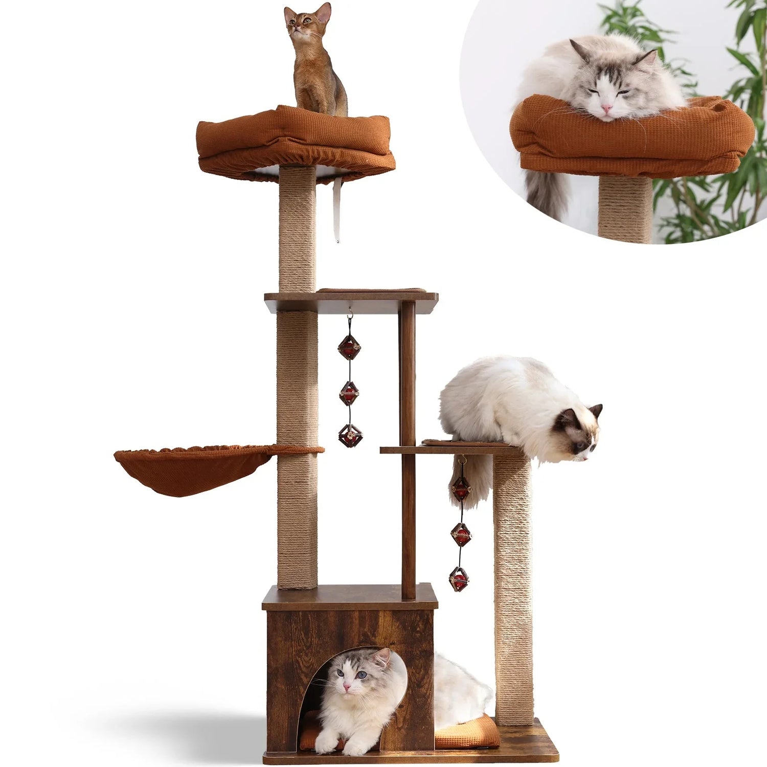 Cat Trees