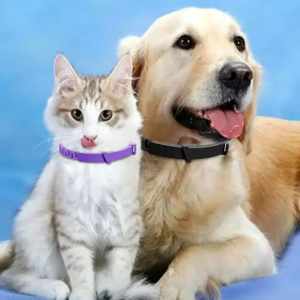 Adjustable Plastic Dog Collar Waterproof Pet Cat Puppy Collar Kitten Collars 70cm 38cm for Small Medium Large Dogs Pet Supplies